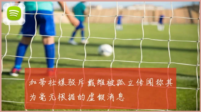 加蒂社媒驳斥戴维被孤立传闻称其为毫无根据的虚假消息