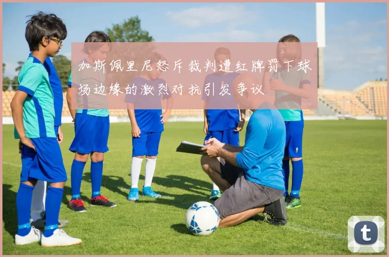 加斯佩里尼怒斥裁判遭红牌罚下球场边缘的激烈对抗引发争议