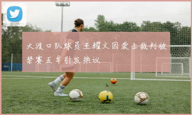 大渡口队球员王耀文因袭击裁判被禁赛五年引发热议