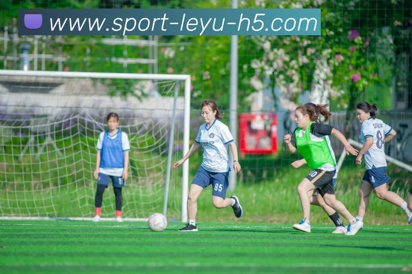 乐鱼体育发展历程